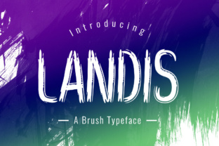 Landis: Strategic Use of a Playful Brush Display Font for Real Results