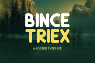 Understanding Display Fonts: Why Bince Triex Deserves a Place in Your Design Toolkit